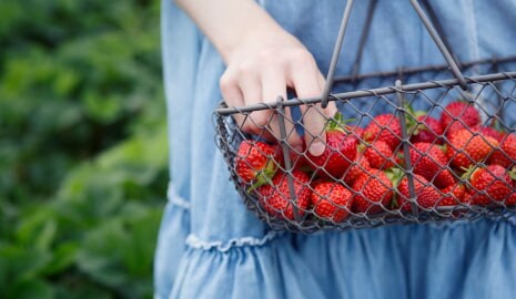 Bild Kind mit Erdbeeren im Korb